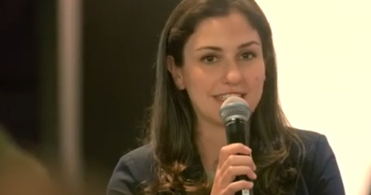 Panel - COEMinerals researcher Dr Negin Amini speaks on 